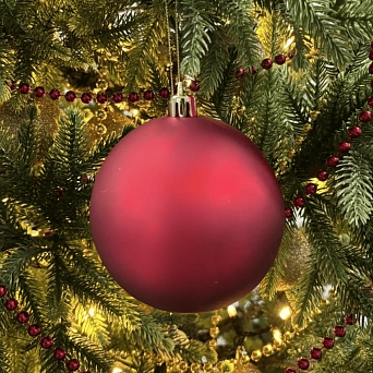 3e6d89ef-00eb-11f1-b0b0-00155d01c808_b1bcf2c5-538a-11f1-b0b0-00155d01c808.png